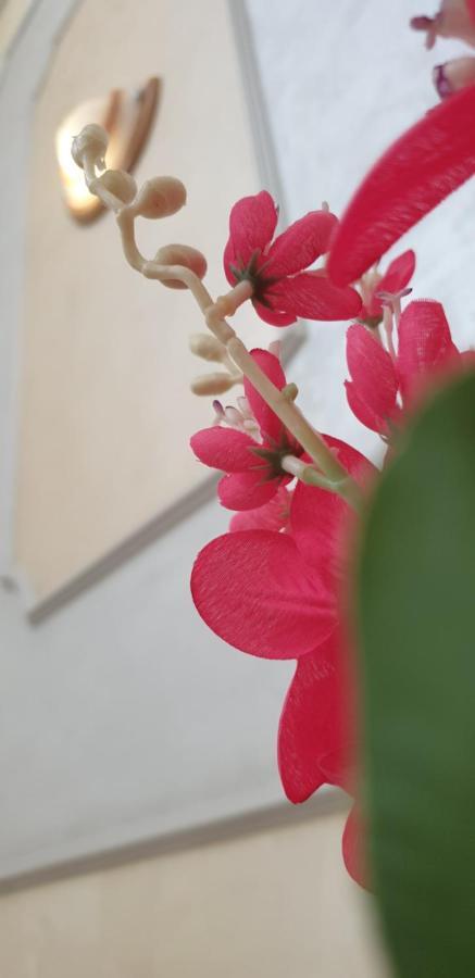 Appartement Stevic - Monaco *